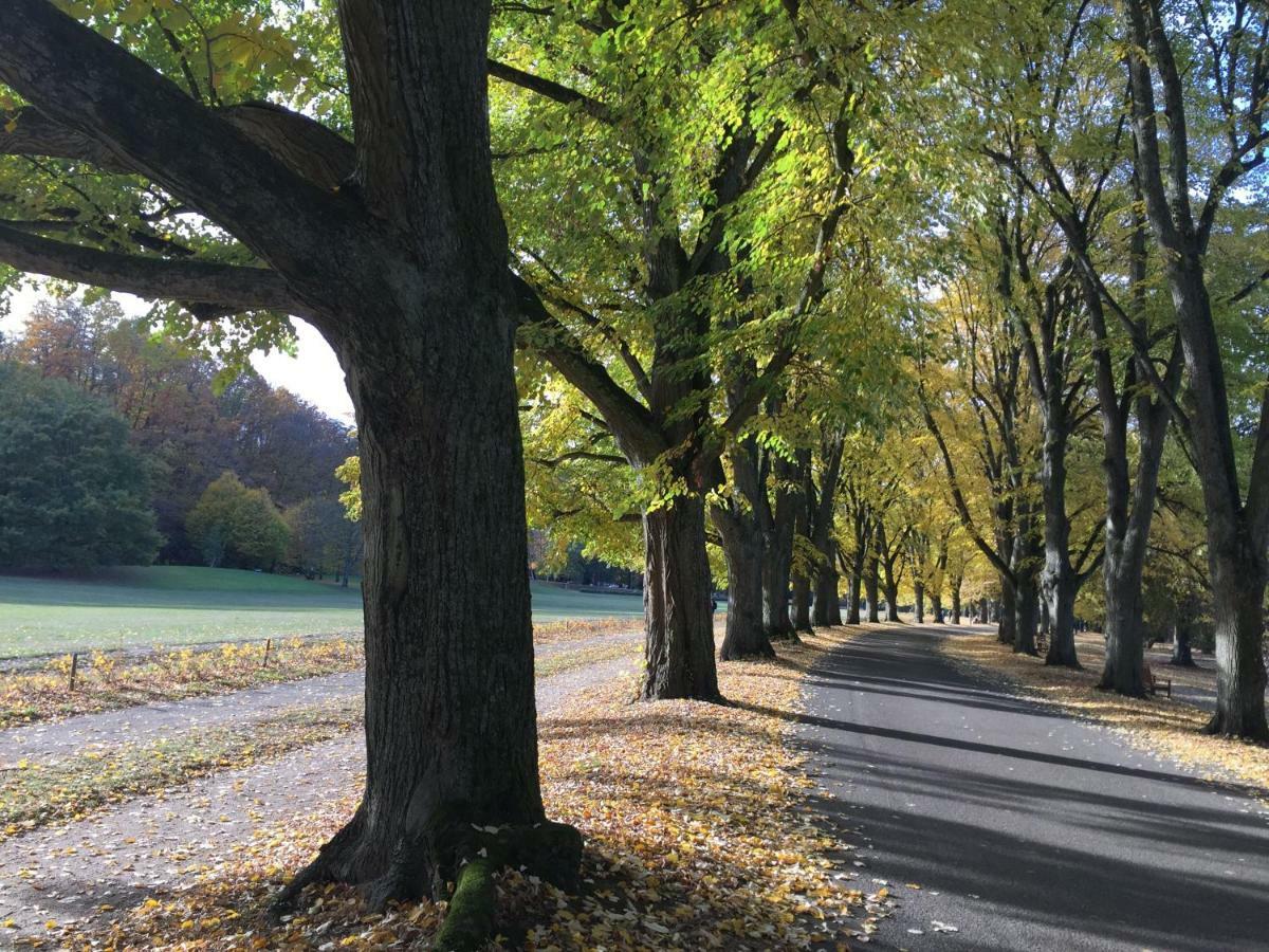 Suite Mit Blick Auf Die Lichtentaler Allee Baden-Baden Exteriör bild