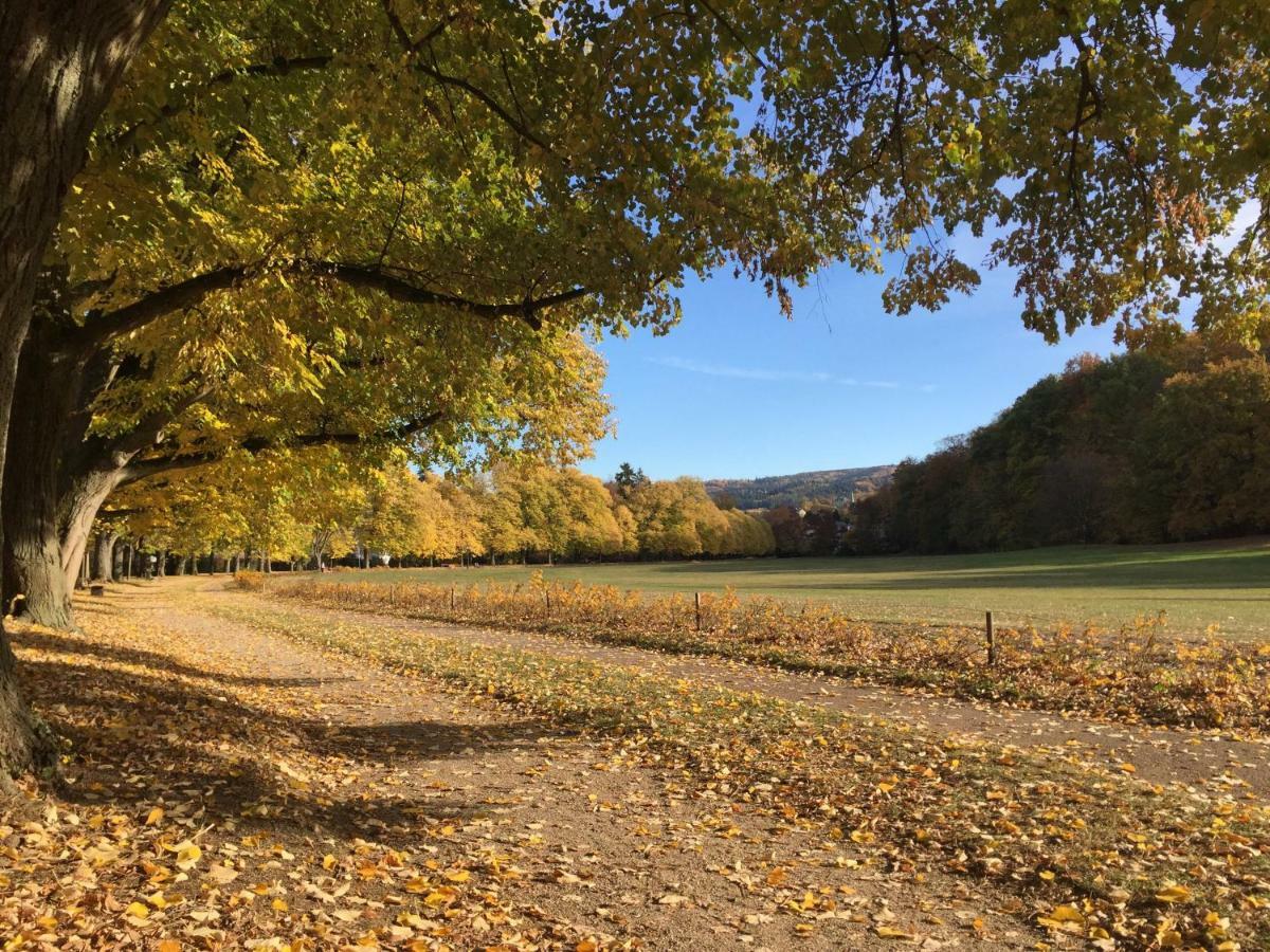 Suite Mit Blick Auf Die Lichtentaler Allee Baden-Baden Exteriör bild